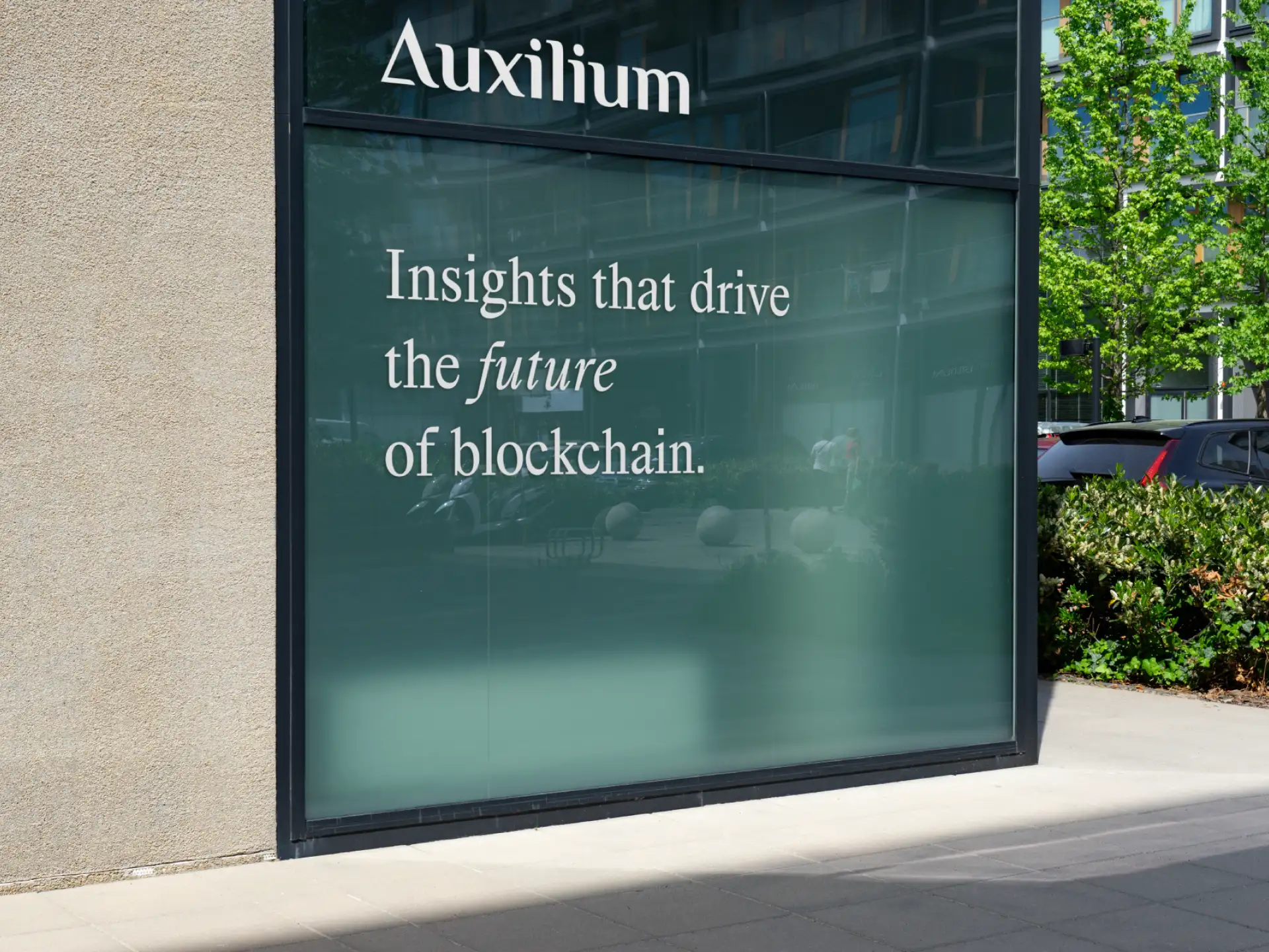 Auxilium Research brand design 2