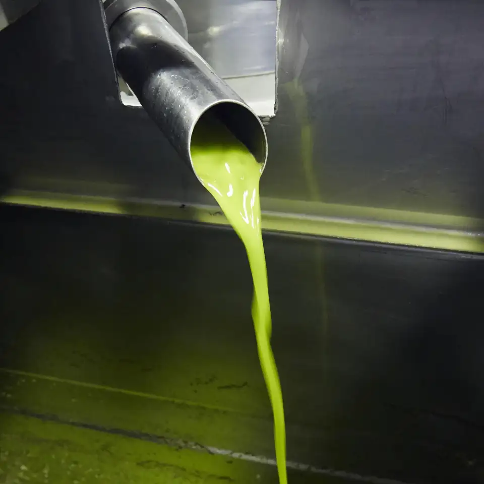 Bittergreen Squeeze