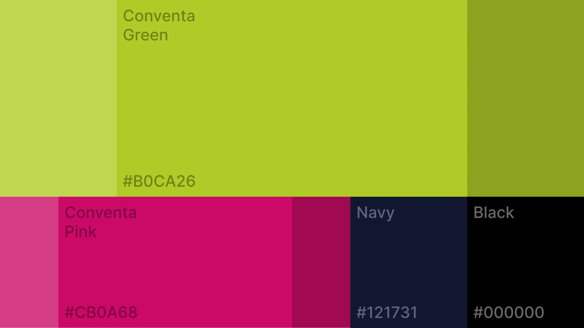 Image of Conventa's identity 2