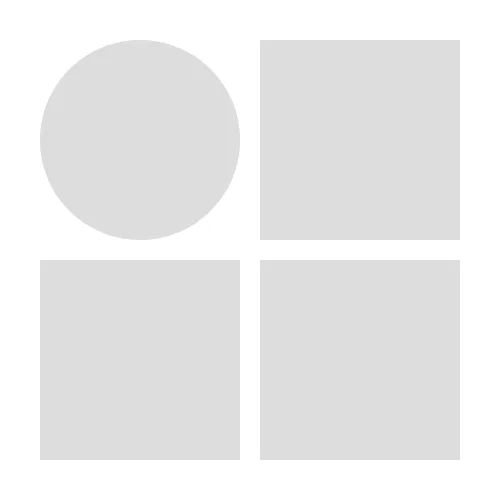 Icon of visual identity