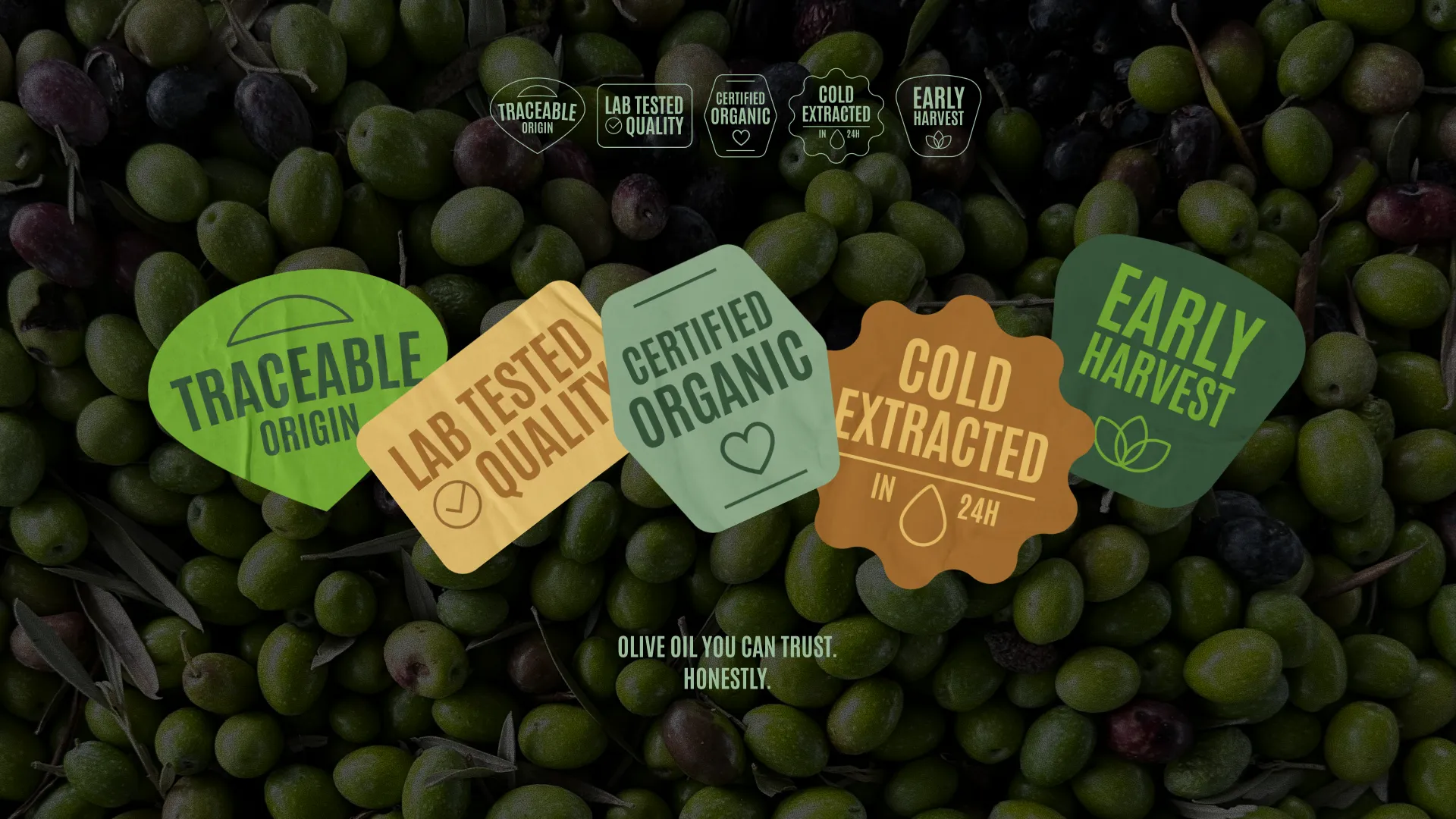 Brand strategy and design for Bittergreen health supplements